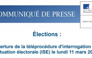 teleprocedure-situation-electorale